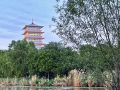 -Supine Bistro溯泮餐厅