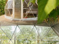 -广州市流溪河国家森林公园