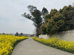 -郫都区农科村景区