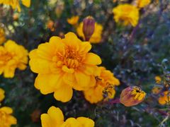 -长春公园(普阳街道)