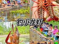 -上海山野camping·户外天幕烧烤·团建拓展营地