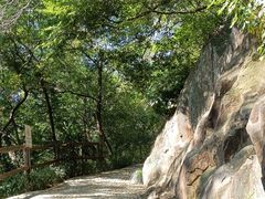-仙岳公园
