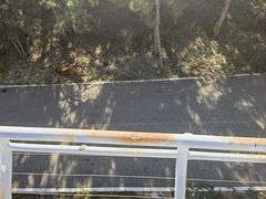 -大青山野生动物园