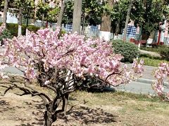 -陕西师范大学(雁塔校区)