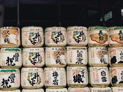-奈良公园