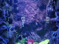 -海合安青岛极地海洋公园