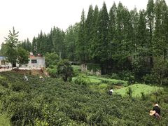 -南京金牛湖风景区