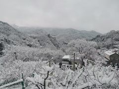 -崂山九水游览区