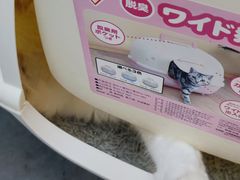 -萌兽医馆·眼科·异宠专科(三里屯店)
