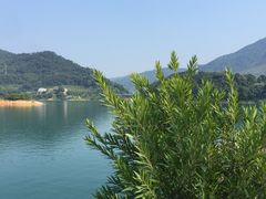 -广州市流溪河国家森林公园