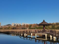 -前关湿地公园