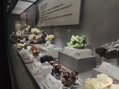 -湖南省地质博物馆