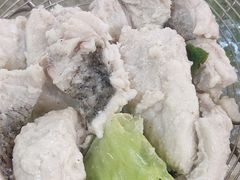 -金砂阿洲鱼册店