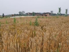 -中国天府农业博览园