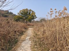 -南北湖风景区
