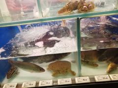 -百佳永辉超市(太阳广场店)