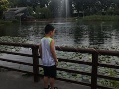 -成飞公园