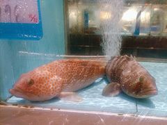 -阿伟海鲜楼·福建菜(延寿店)