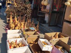 -中环花鸟鱼虫市场