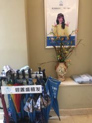 -碧莲盛·不剃发植发