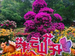 -广州市白云山风景名胜区