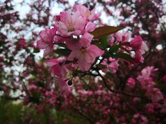 -SAH健身私教工作室(紫东店)