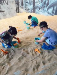 -恐龙探索乐园(磁器口店)