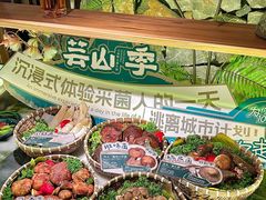 -芸山季·云南山珍菌火锅(人民广场来福士店)