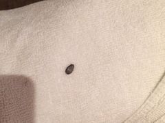 汉鑫玄妙商务酒店-天逅酒店(观前街宫巷店)