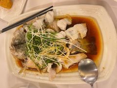 鲈鱼-朱仔记食府(江南大道店)