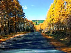 -塞罕坝国家级自然保护区