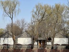 -尚庄度假村·庭台树下·户外烧烤·团建CS·轰趴营地(上庄水库店)
