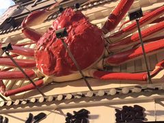 -蟹道乐(道顿堀本店)