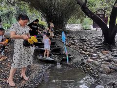 -成都市活水公园