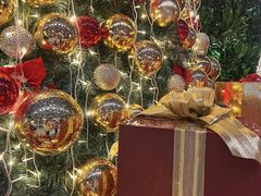 -广州富力丽思卡尔顿酒店