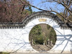 -峙山公园