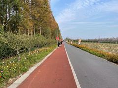 -上海长兴岛郊野公园