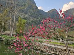-靖西鹅泉风景区