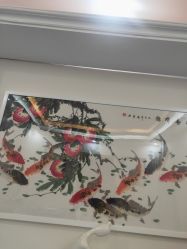 -瑞鑫创美·高定轻医美