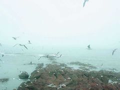 -栈桥景区