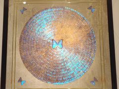 -上海昆虫博物馆