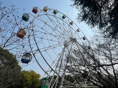 -红山森林动物园