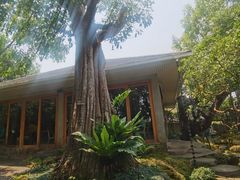 -Chom Cafe and Restaurant