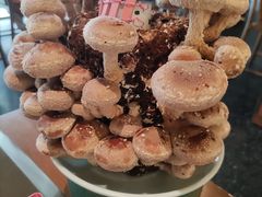 活体松香菇-捞王锅物料理(上海世茂广场店)