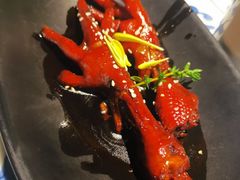 吮指鸡爪-桂满陇天书(南京德基旗舰店)