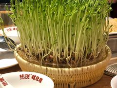 -好彩猪肚鸡(正弘城店)