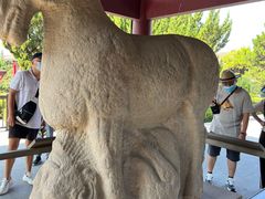 -茂陵博物馆