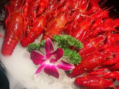 -红盔甲·小龙虾(长寿路店)