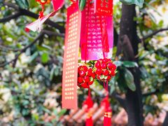 -三水森林公园孔圣园