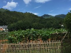 -毛泽东同志旧居